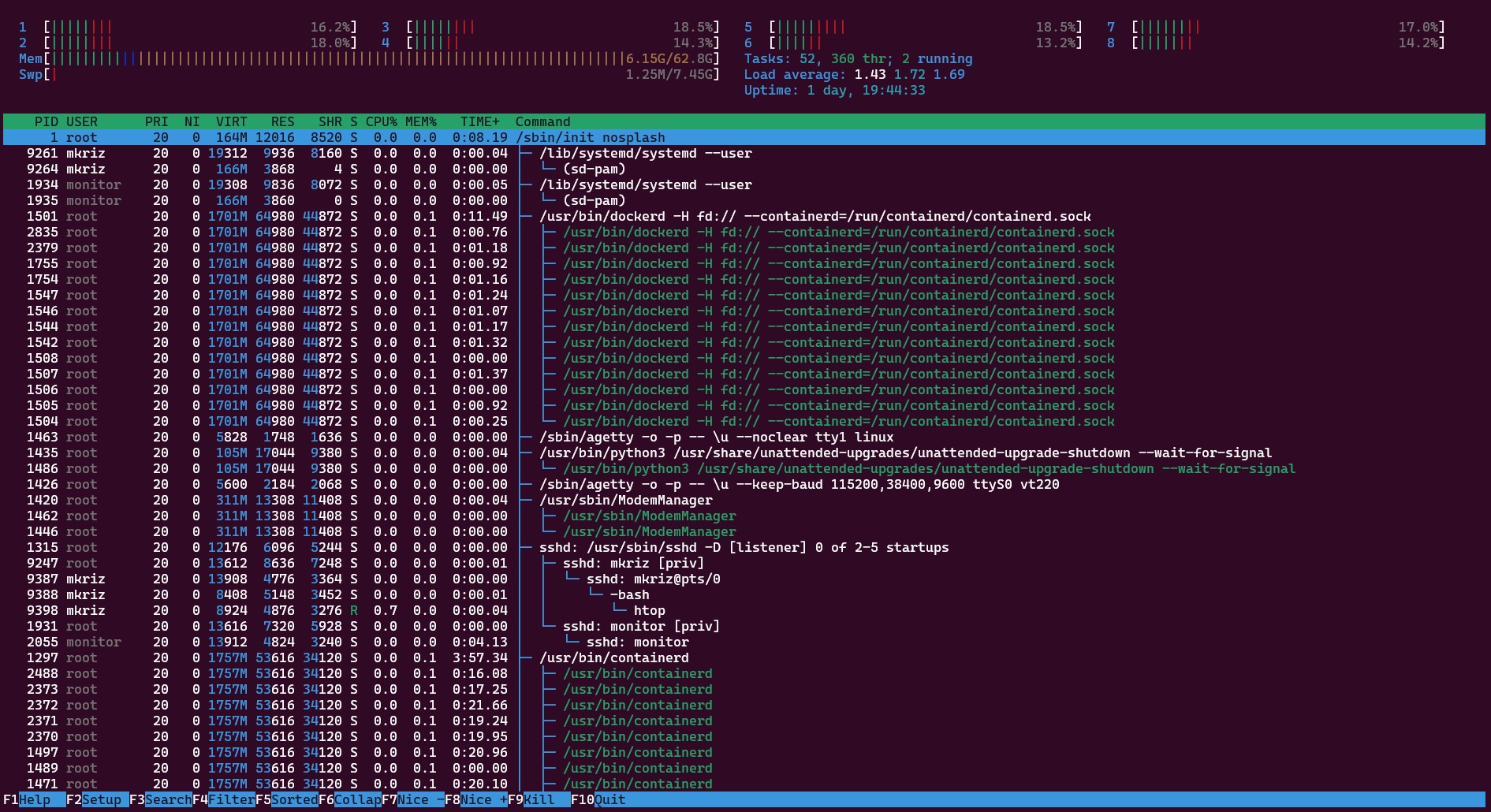 htop screen capture