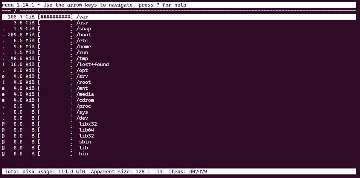 ncdu screen capture